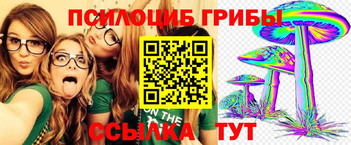 Псилоцибиновые грибы Magic Shrooms Полевской